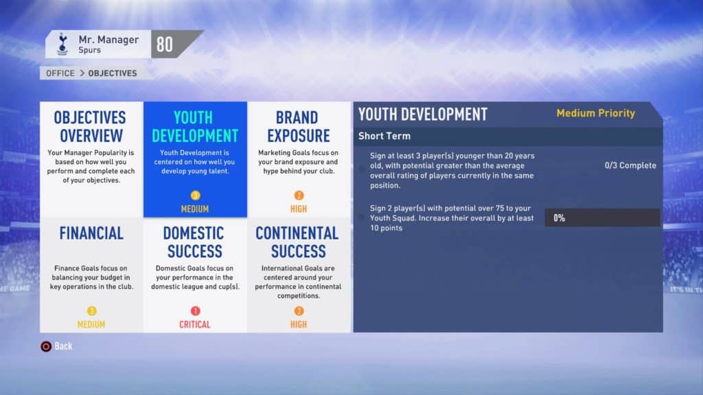 Tottenham Hotspur Board Expectations and Objectives